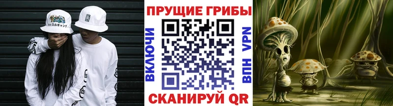 Галлюциногенные грибы Psilocybe  Ачинск 